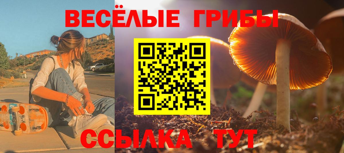 Псилоцибиновые грибы Cubensis  Вход с VPN  Первоуральск  Галлюциногенные грибы прущие грибы 